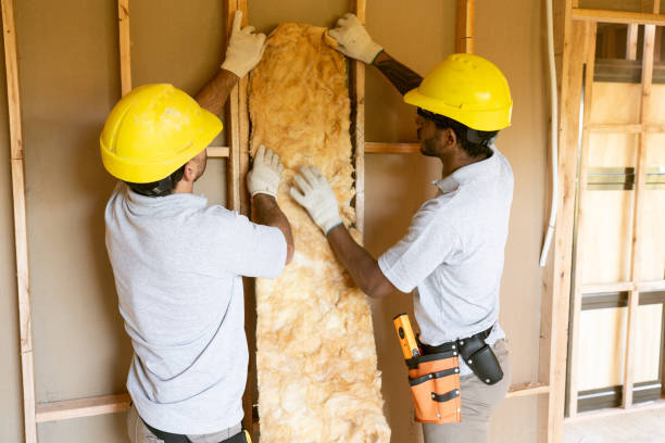 Best Eco-Friendly or Green Insulation Solutions  in Mount Sterling, IL